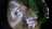Matthieu_Table_a_feu_6_M_6.jpg