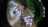 Matthieu_Table_a_feu_6_M_7.jpg