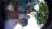 Matthieu_groupe-F.jpg