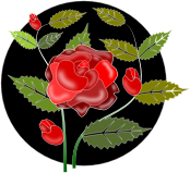 rosa_rose_1.png